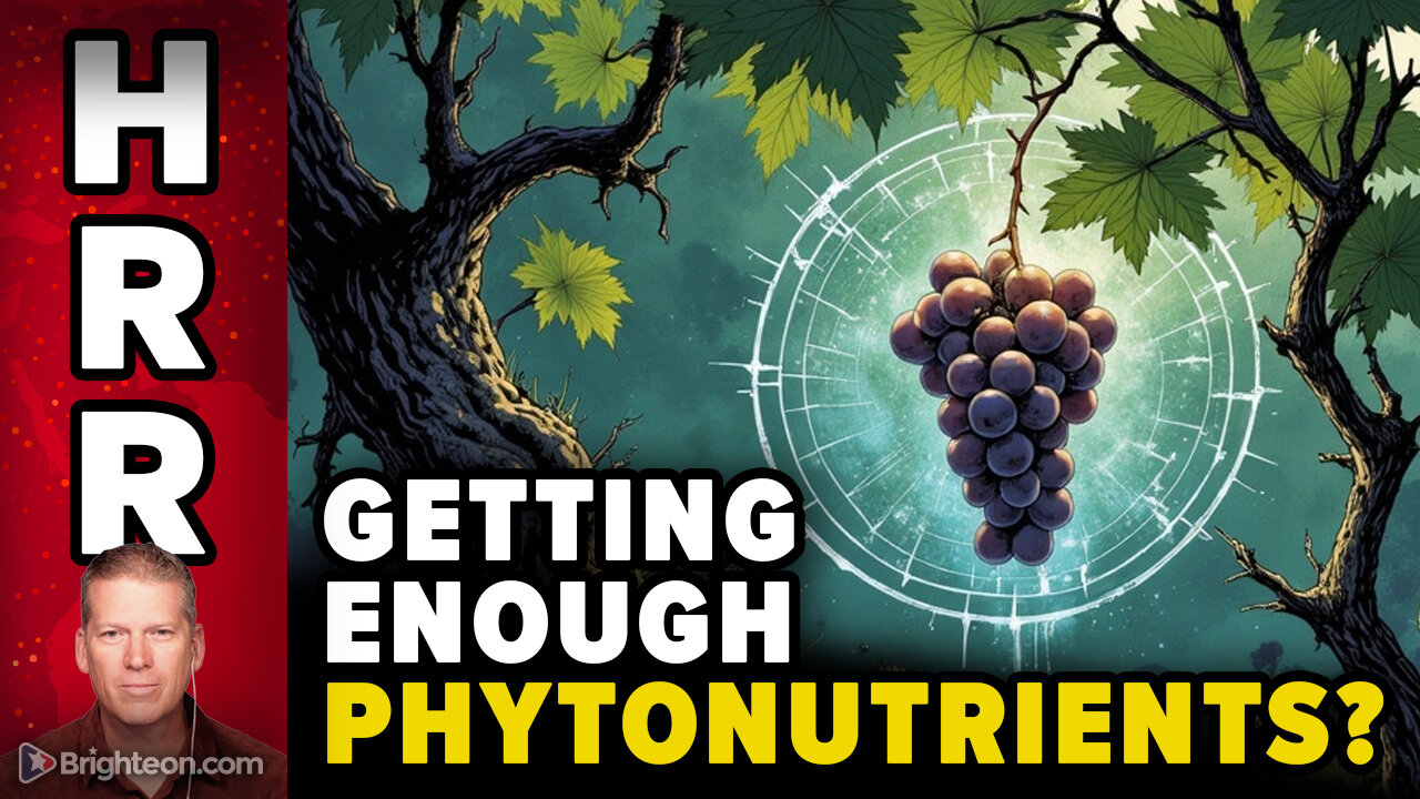 Are you getting enough PHYTONUTRIENTS?