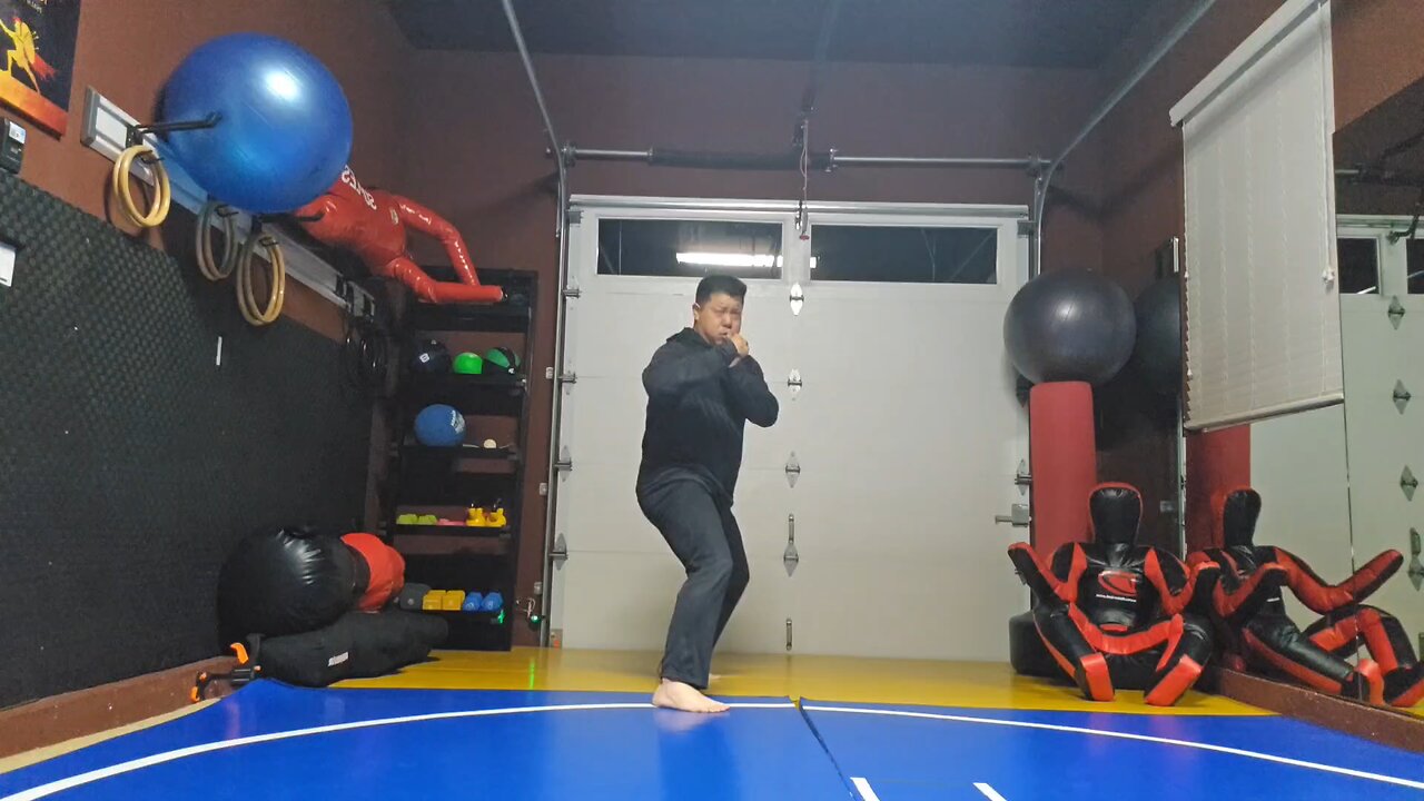 WTD Round Kick to Lotus Kick sequential