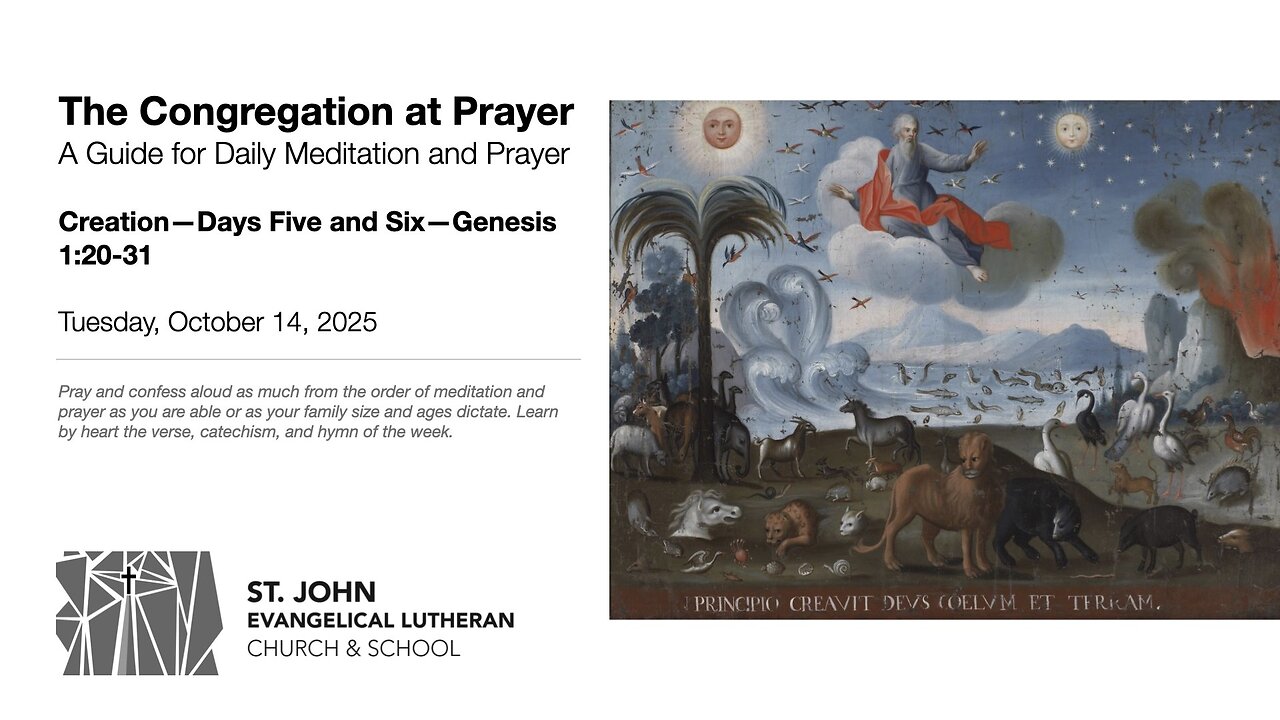 Creation—Days Five and Six—Genesis 1:20-31