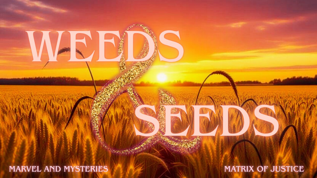MARVEL & MYSTERIES: Weeds & Seeds