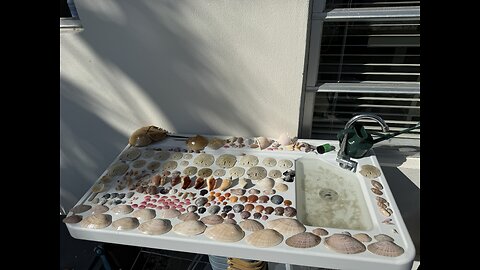 Beach Finds 12/19/2025 | 4K