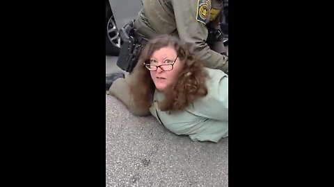 Chicago WGN‑TV producer detained by Border Patrols for throwing objects at them