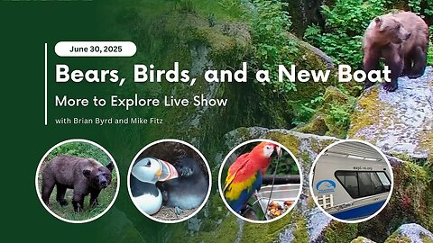 Bears, Birds, and a New Boat | More to Explore Live Show