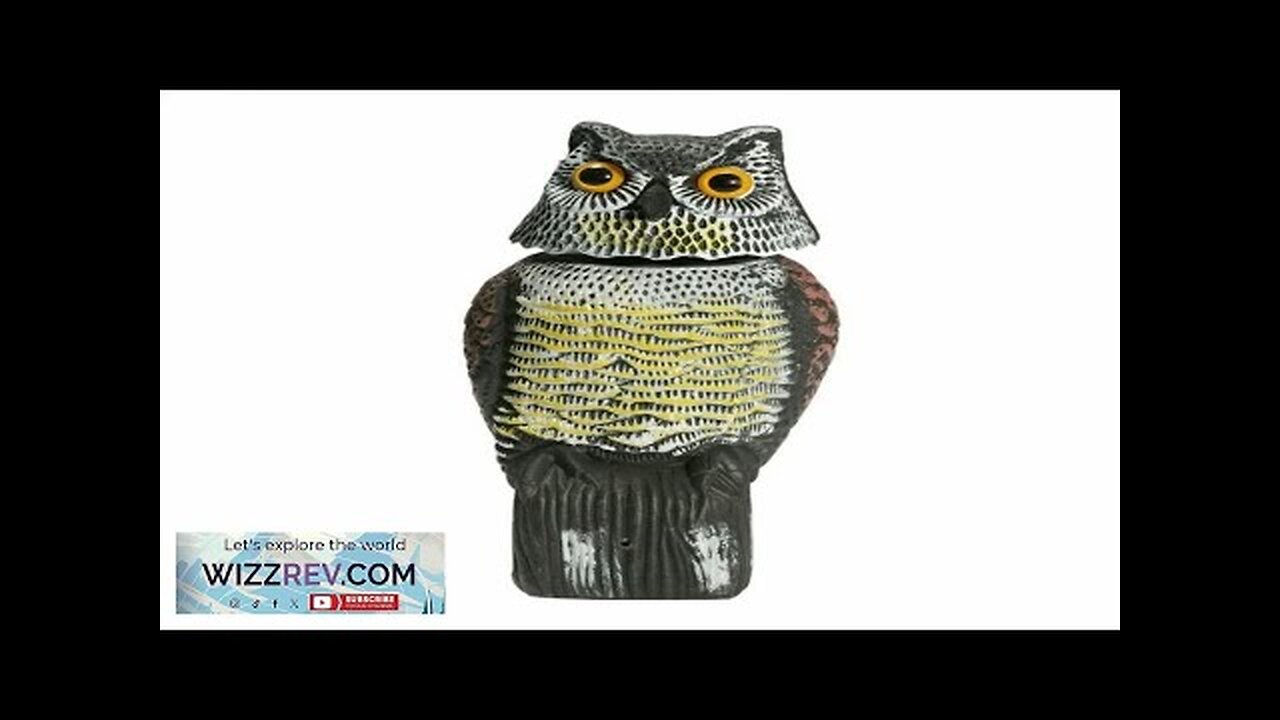 Outdoor Owl Bird Repellent Mouse Deterrent with Electronic Shake Head Feature Generic Review