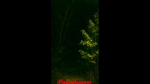 Can you hear them too