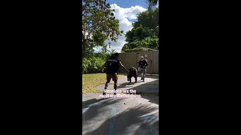 Animals 🐴 love you v Animals Love you but you don't really know the emotions 💕😭