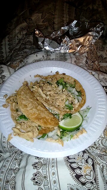Meal, The Taco Stand Taqueria, Wayne County, MI, 12/27/25