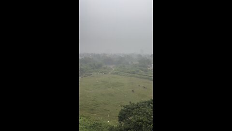 View from my balcony #rainydays #rainyweather