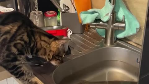 When your advances get rejected 😂