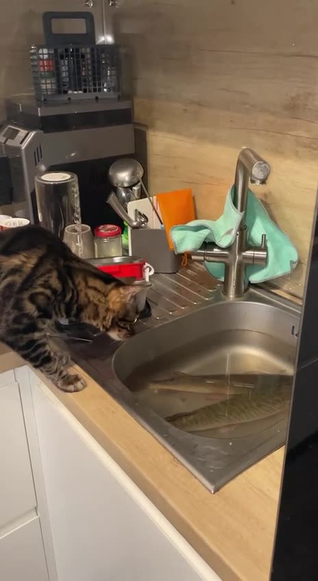 When your advances get rejected 😂