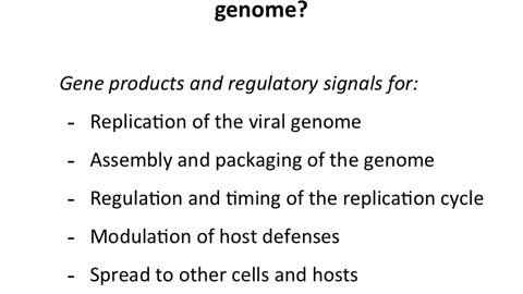 DNA virus genomes