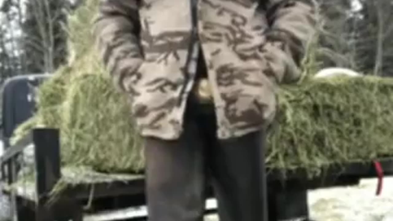 Kanadier harsche wahre Worte gegen Trudeau WEF und Untätigkeit