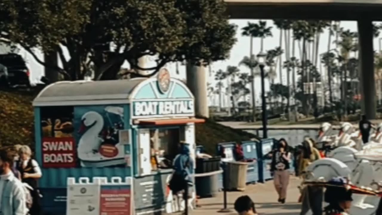 Animé Los Angeles Long Beach CA Compilation 11.29.2025