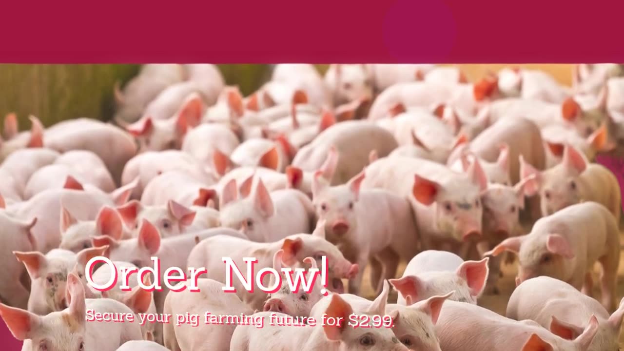 Master Pig Health: Prevent Diseases, Boost Immunity, and Build a Thriving, Profitable Herd