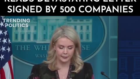 KAROLINE LEAVITT RUINS DEMOCRATS' DAY AFTER SHE READS DEVASTATING LETTER SIGNED BY 500 COMPANIES