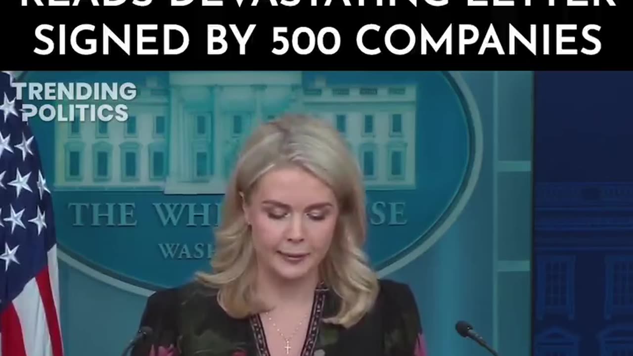 KAROLINE LEAVITT RUINS DEMOCRATS' DAY AFTER SHE READS DEVASTATING LETTER SIGNED BY 500 COMPANIES
