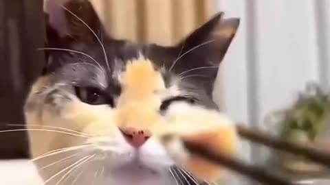 Visiting grandma😋...