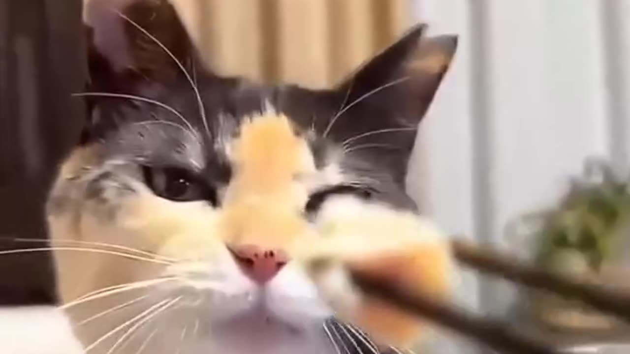 Visiting grandma😋...