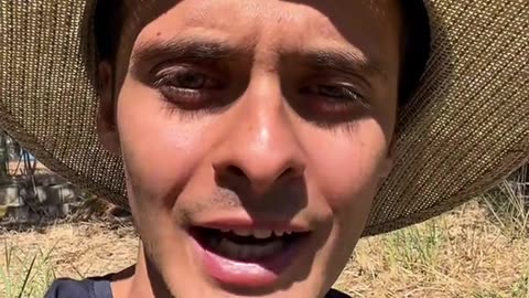 stefanorusso.toth Un commento riguardo le continue manifestazioni