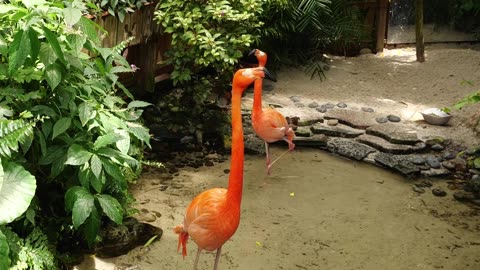 Destination Dive Episode 1