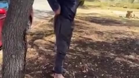 The street shitting has started in my hometown Adelaide Australia @LordStompy