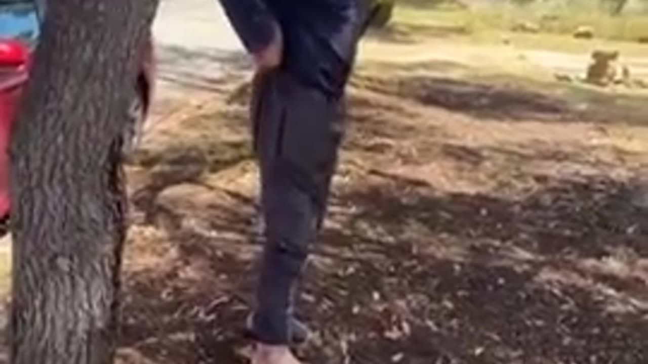 The street shitting has started in my hometown Adelaide Australia @LordStompy