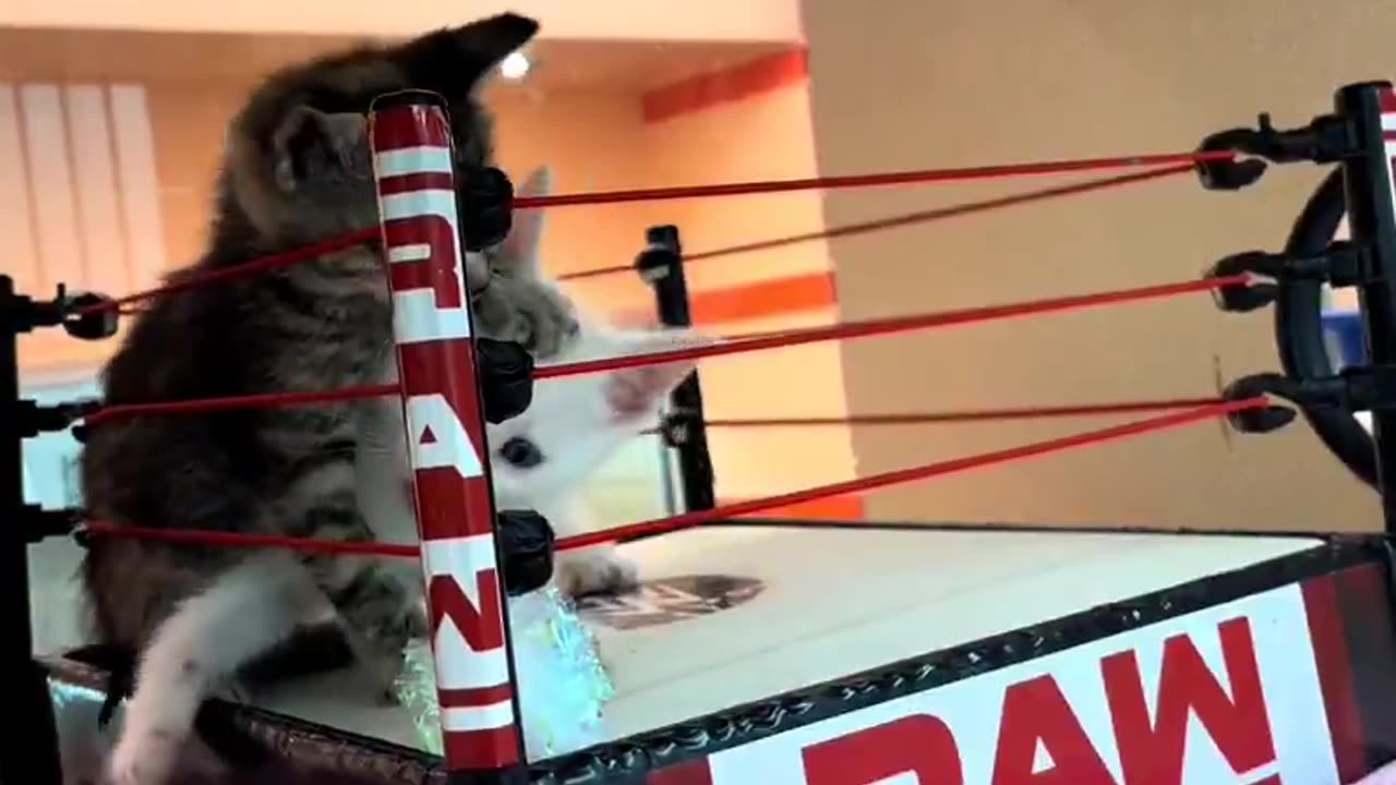 they both understood the assignment flawlessly 😂❤️