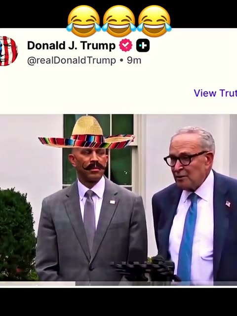 Democrat Thuggery Is A Joke