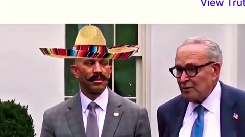 Democrat Thuggery Is A Joke