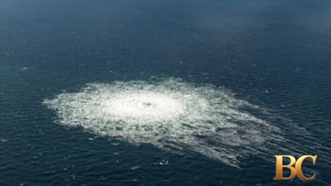 Ukrainian diver held in Poland over Russian pipeline blasts in Baltic Sea