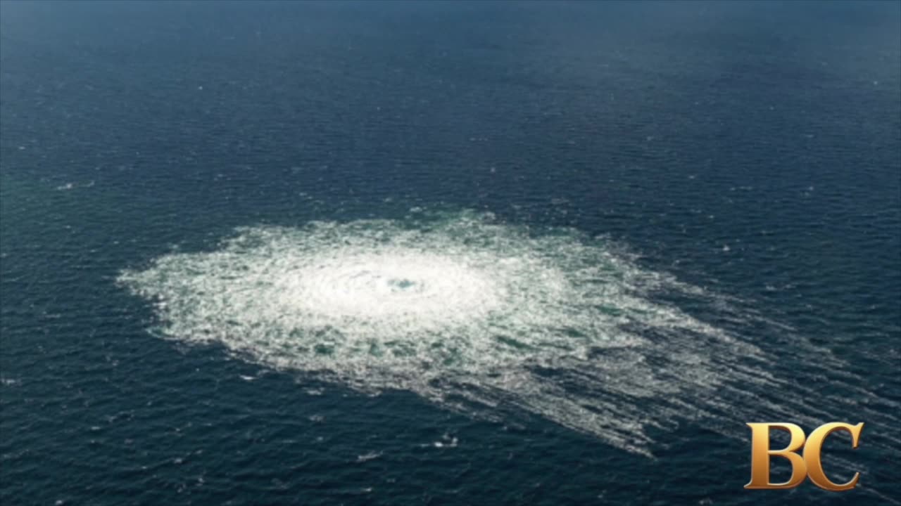 Ukrainian diver held in Poland over Russian pipeline blasts in Baltic Sea