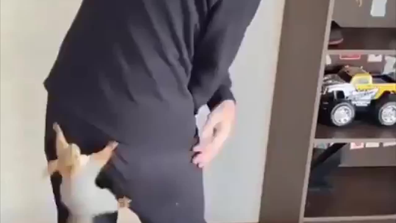 Catch me if you can.. 😂