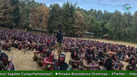 Gabaasa Tarkaanfii ONM-ABO Sadaasa 18-2025 itti dhiyaadhaa!