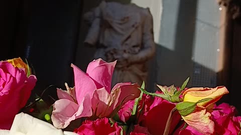 Sophie thought because her patient can't speak I shouldn't speak with her