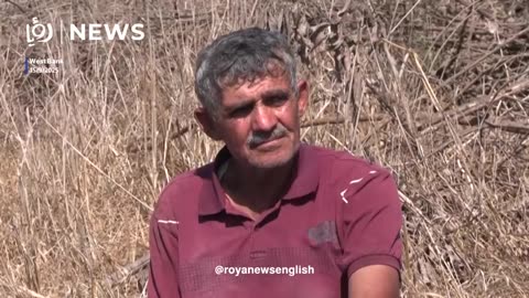 ‘Israeli’ forces bulldoze agricultural lands in northern West Bank