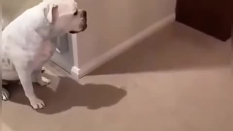 JUST4LAUGH