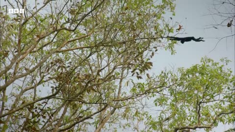 ‎The Hidden Paradise of India s Mountain Wilderness | BBC Earth