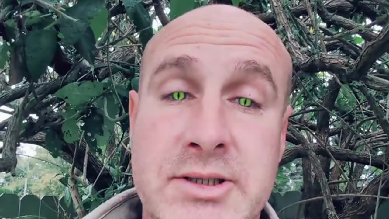 3 Strange Reasons to Start a Blog