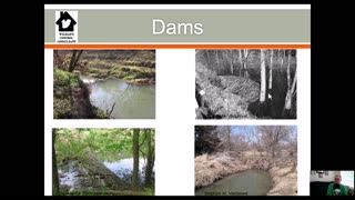 Is a beaver pipe, pond leveler, or beaver deceiver the right choice for handling beaver flooding?