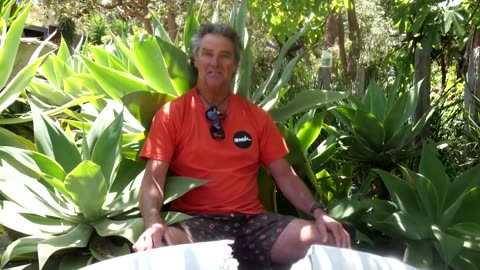 Horrifying moment windsurfer attacked, pulled underwater by a shark