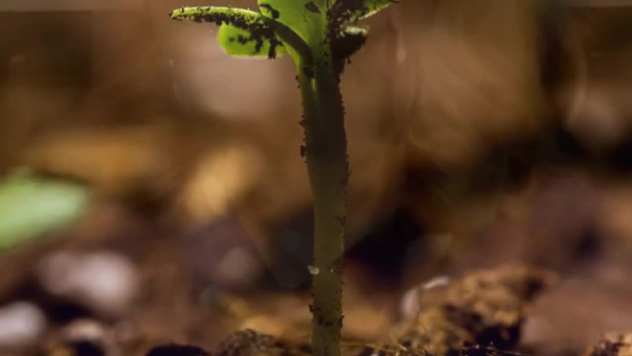 ARE YOU A FUELER OR A DRAINER?