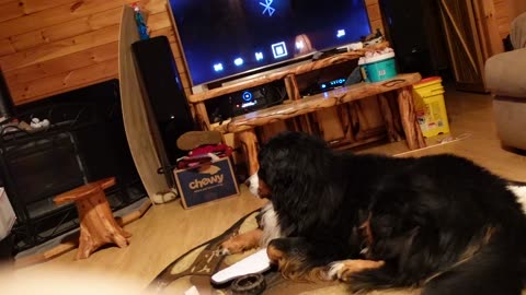 Rosco - Still In Love With You