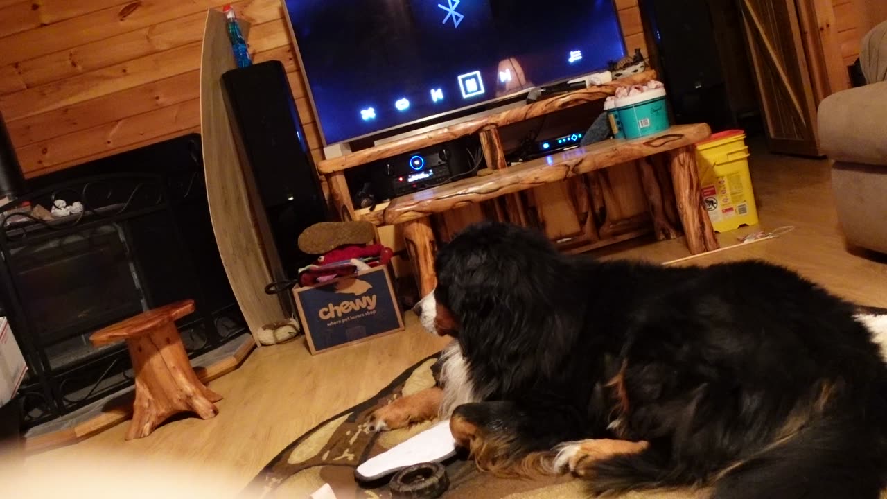 Rosco - Still In Love With You