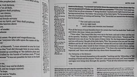 JESUS THE WHEAT OFFERING