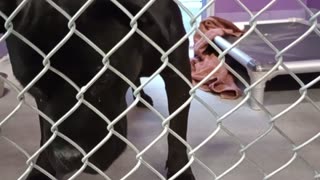 VID_20251004_134852651