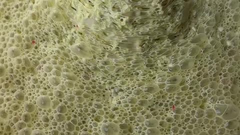 Rating the SCOOPABILITY of SLIME 🥄