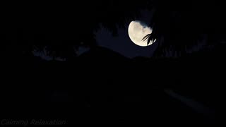 The Whisper of Night Nature – The Perfect Background for Deep, Restorative Sleep