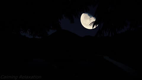 The Whisper of Night Nature – The Perfect Background for Deep, Restorative Sleep