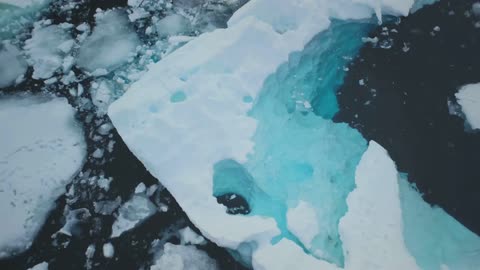 地球史上最大の絶滅事件、その原因は？