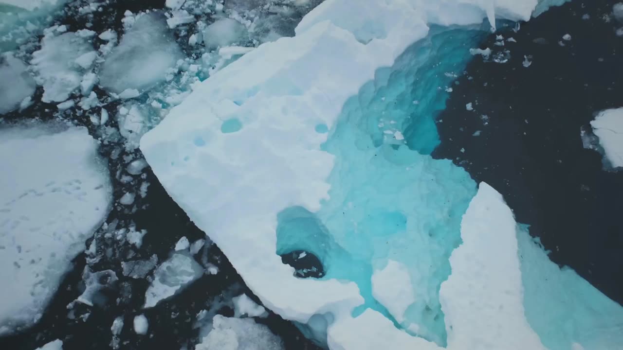 地球史上最大の絶滅事件、その原因は?